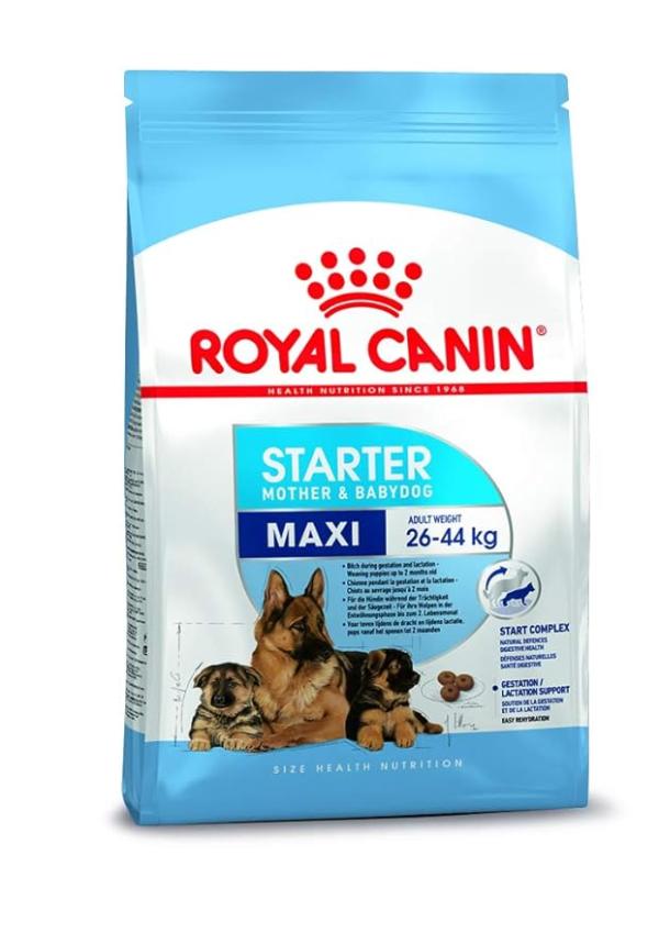 Royal Canin Maxi Starter, Mother & Babydog Food, 1 Kg, Dry Food, Supports Complex Natural Defence & digestive health, Provides Gestation/Lactation Sup